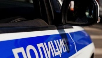 В Сретенском районе полицейские раскрыли кражу крупнорогатого скота